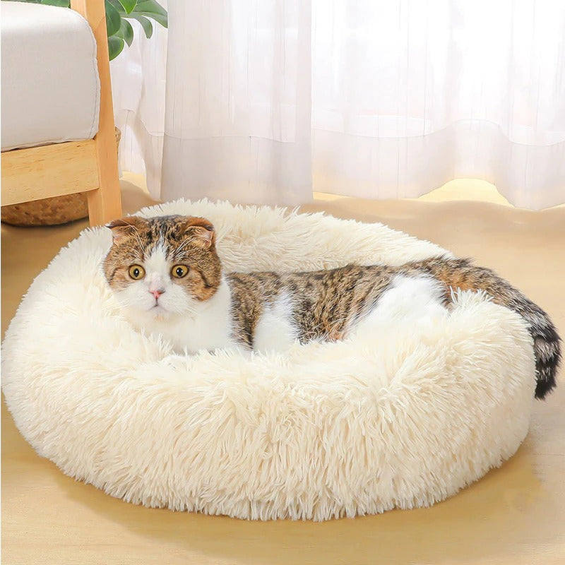This super soft and washable pet bet is perfect for your fur babies to help them get comfortable and sleep at ease. The long soft fibers spoil your love with luxury. They show you unconditional love, time to show them how much you appreciate it.