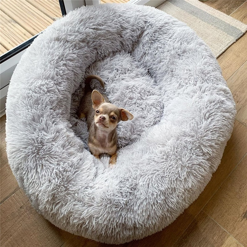 This super soft and washable pet bet is perfect for your fur babies to help them get comfortable and sleep at ease. The long soft fibers spoil your love with luxury. They show you unconditional love, time to show them how much you appreciate it. 